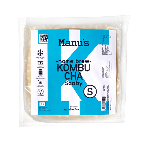 Kombucha Scoby