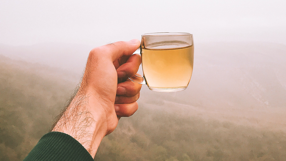Vier Fakten über weissen Tee